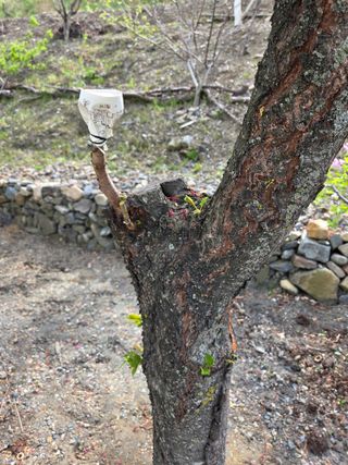 김용대님의 자유주제 · 자유게시판 작성글 사진