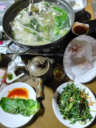 별빛농장지기님의 자유주제 · 자유게시판 작성글 사진