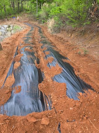 김석기님의 자유주제·자유게시판 작성글 사진