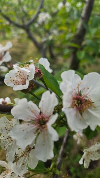 박정희 님의 자유주제 · 자유게시판 작성글 사진