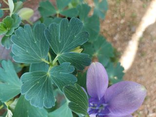 재연농장님의 자유주제 · 자유게시판 작성글 사진