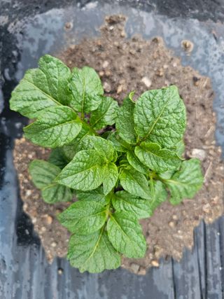 백용기님의 자유주제 · 자유게시판 작성글 사진