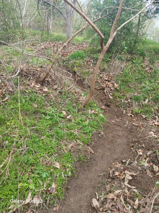 윤석돈님의 자유주제 · 자유게시판 작성글 사진