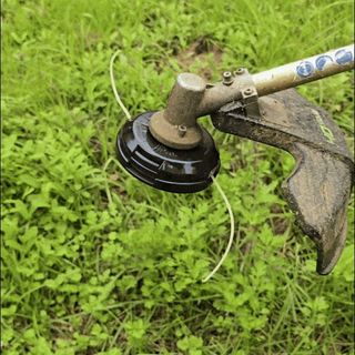 오성오에스씨님의 자유주제 · 자유게시판 작성글 사진