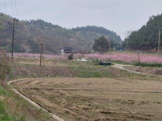 별빛농장지기님의 자유주제·자유게시판 작성글 사진