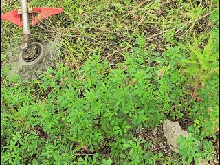 오성오에스씨님의 자유주제 · 자유게시판 작성글 사진