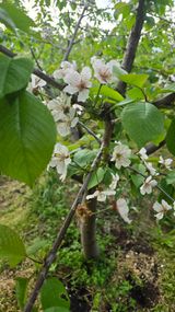 박정희 님의 자유주제·자유게시판 작성글 사진