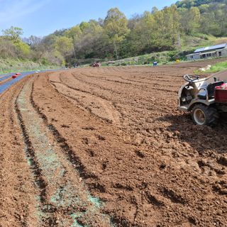 오영도님의 자유주제 · 자유게시판 작성글 사진