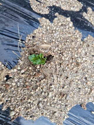 백용기님의 자유주제 · 자유게시판 작성글 사진