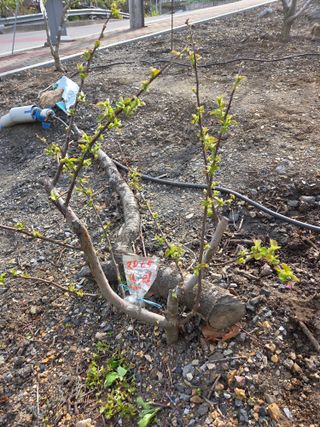 김용대님의 자유주제 · 자유게시판 작성글 사진