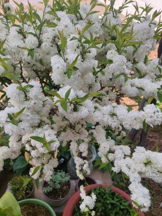 재연농장님의 자유주제 · 자유게시판 작성글 사진