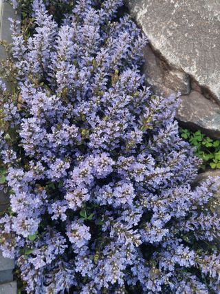 재연농장님의 자유주제·자유게시판 작성글 사진