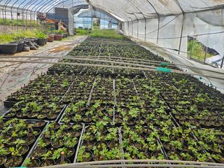 보리수치유농장님의 자유주제 · 자유게시판 작성글 사진