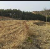 김석기님의 자유주제·자유게시판 작성글 사진