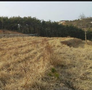 김석기님의 자유주제 · 자유게시판 작성글 사진