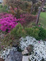 재연농장님의 자유주제·자유게시판 작성글 사진