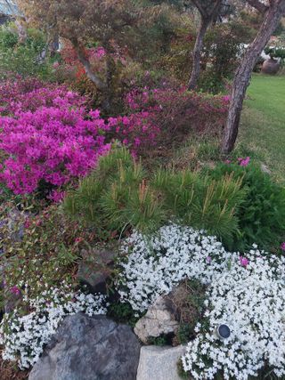 재연농장님의 자유주제 · 자유게시판 작성글 사진