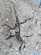 팜모닝 자유주제·자유게시판 게시글 이미지