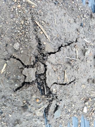 백용기님의 자유주제 · 자유게시판 작성글 사진