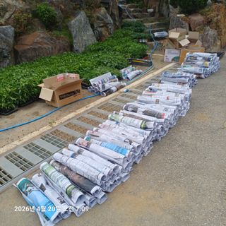 삼성농산님의 기타작물 · 영농일지 작성글 사진