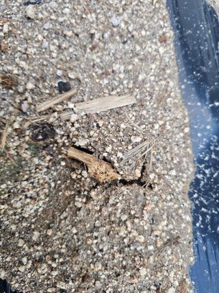 백용기님의 자유주제 · 자유게시판 작성글 사진