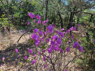 보리수치유농장님의 자유주제 · 자유게시판 작성글 사진
