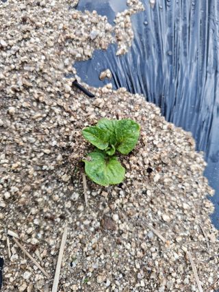 백용기님의 자유주제 · 자유게시판 작성글 사진