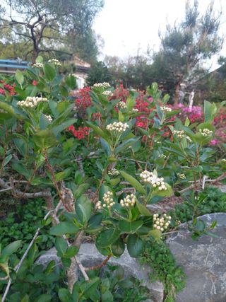 재연농장님의 자유주제 · 자유게시판 작성글 사진