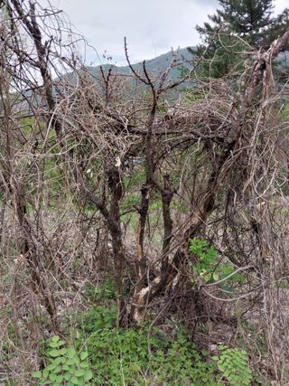 갑을 매실님의 자유주제 · 자유게시판 작성글 사진