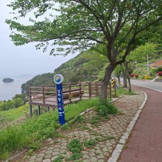 오영도님의 자유주제 · 자유게시판 작성글 사진