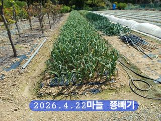 박성민님의 자유주제·자유게시판 작성글 사진