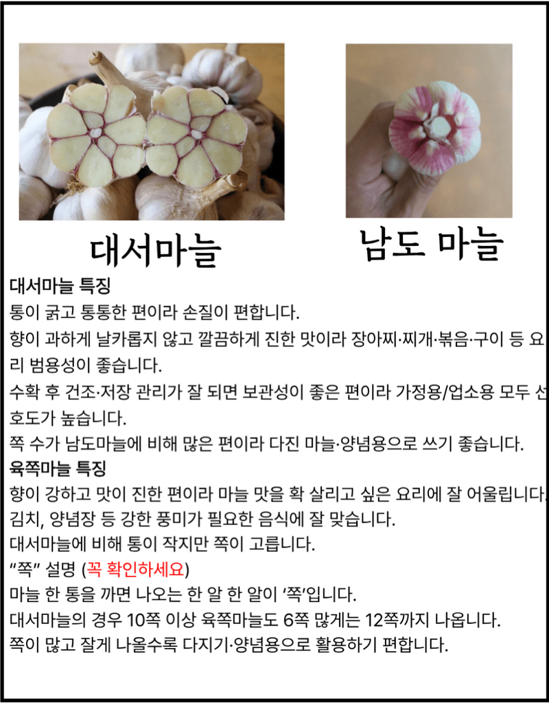김태혁님의 장터 판매 상품 [햇마늘 통마늘 난지형 대서마늘] 첨부 사진