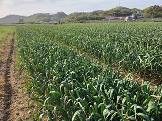 김태혁님의 자유주제 · 자유게시판 작성글 사진