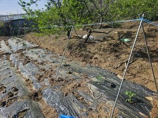 청산거사님의 자유주제 · 자유게시판 작성글 사진