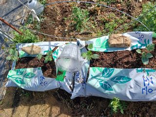 금동이네님의 자유주제 · 자유게시판 작성글 사진