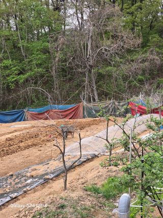 소병찬님의 농사, 무엇이든 물어보세요! · 참여글 작성글 사진