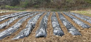 임 촌장.님의 자유주제 · 자유게시판 작성글 사진