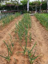 홍승대님의 자유주제·자유게시판 작성글 사진