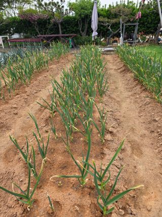 홍승대님의 자유주제 · 자유게시판 작성글 사진