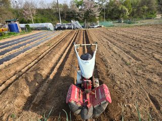 들꽃농장님의 자유주제 · 자유게시판 작성글 사진
