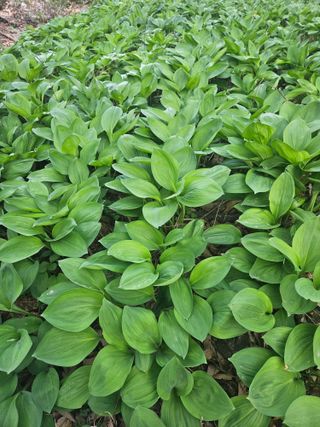 박희진님의 자유주제 · 자유게시판 작성글 사진