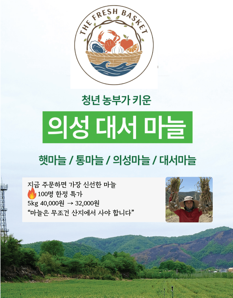 김태혁님의 장터 판매 상품 [햇마늘 통마늘 난지형 대서마늘] 첨부 사진