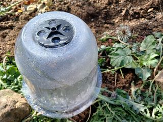 금동이네님의 자유주제 · 자유게시판 작성글 사진