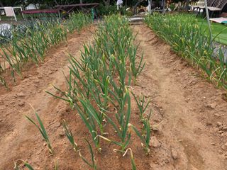 홍승대님의 자유주제 · 자유게시판 작성글 사진