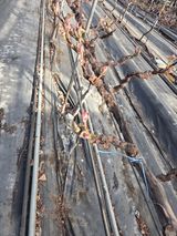 태일농산이정수님의 자유주제·자유게시판 작성글 사진