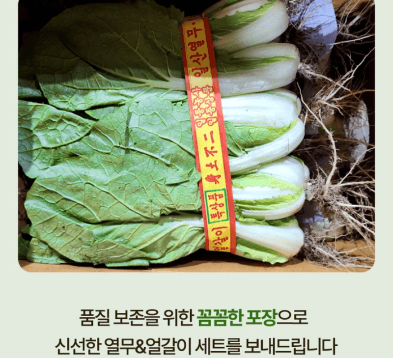 스피드번님의 장터 판매 상품 [열무 + 얼갈이 세트] 첨부 사진