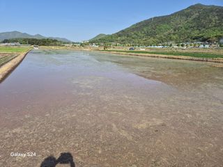 사천시향촌동 돼지띠님의 자유주제 · 자유게시판 작성글 사진