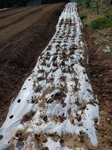 학사농원님의 자유주제·자유게시판 작성글 사진