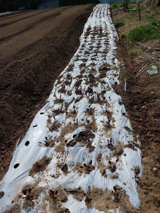 학사농원님의 자유주제 · 자유게시판 작성글 사진