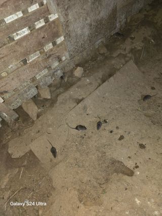 소병찬님의 농사, 무엇이든 물어보세요! · 참여글 작성글 사진